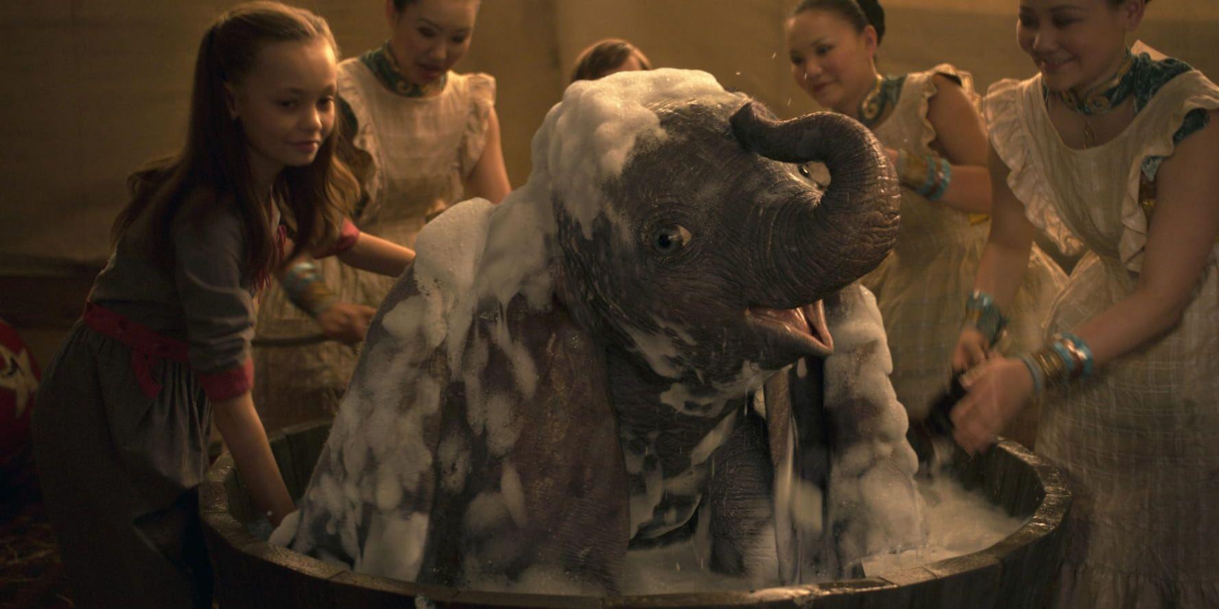 Lille Dumbo föds med gigantiska öron på en cirkus där han snabbt blir en huvudattraktion. Pressbild.