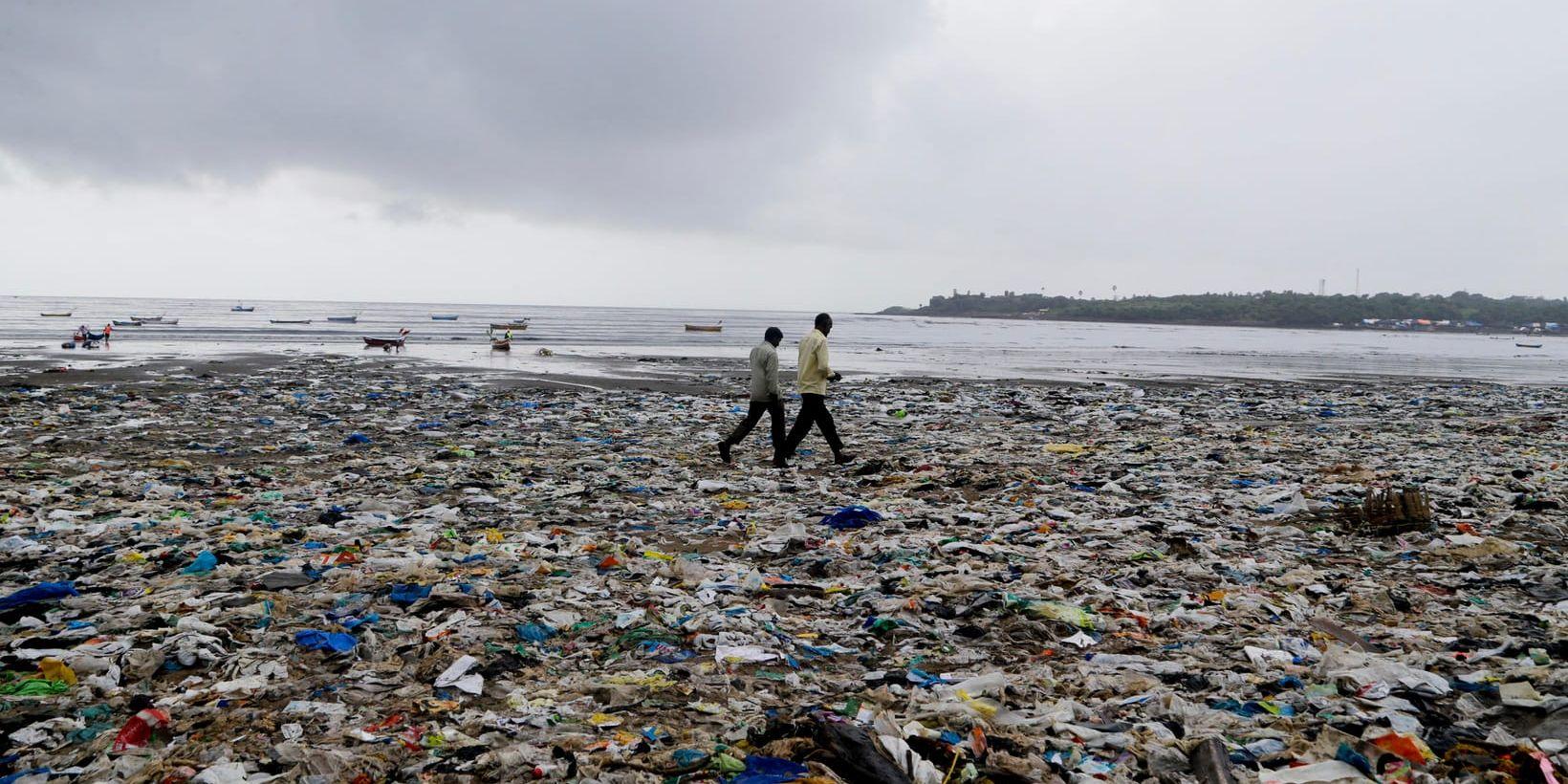 Om nuvarande föroreningshastighet fortsätter kommer det att finnas mer plast än fisk i haven år 2050, uppger FN:s miljöprogram Unep. Arkivbild.