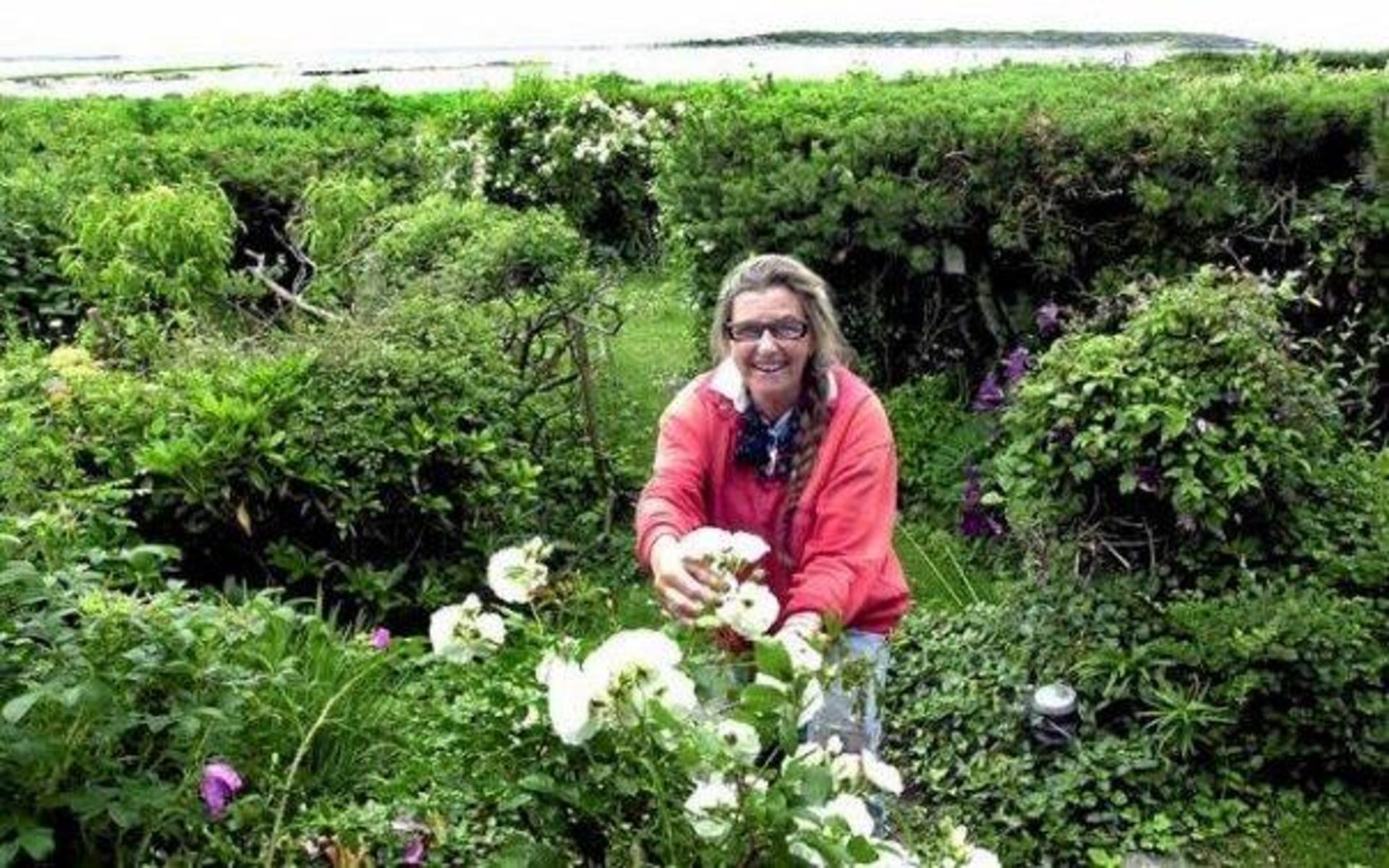Ilva Vallström bor vid stranden i Bua. Hon uppmanar folk att ta fram floran innan de plockar vilda växter. 