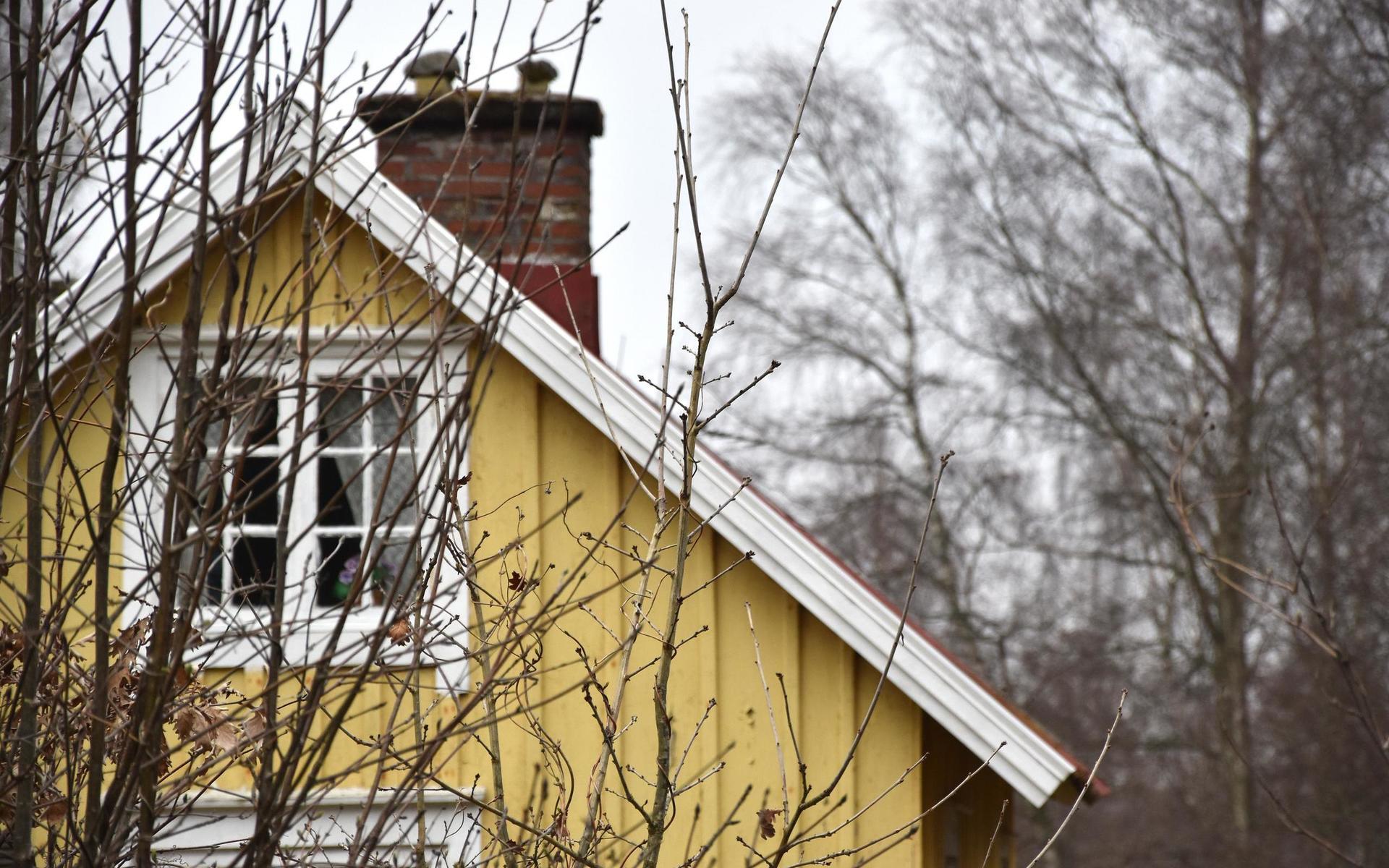 Sadeltak och platta tak – på Trönningenäs har husen blandade former.