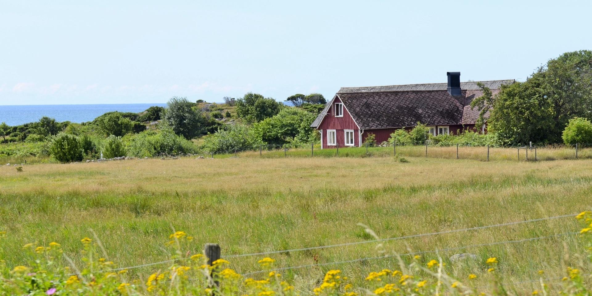 Ett 670 kvm2 hus har beviljats bygglov nära naturreservatet Grimsholmen i Falkenberg.