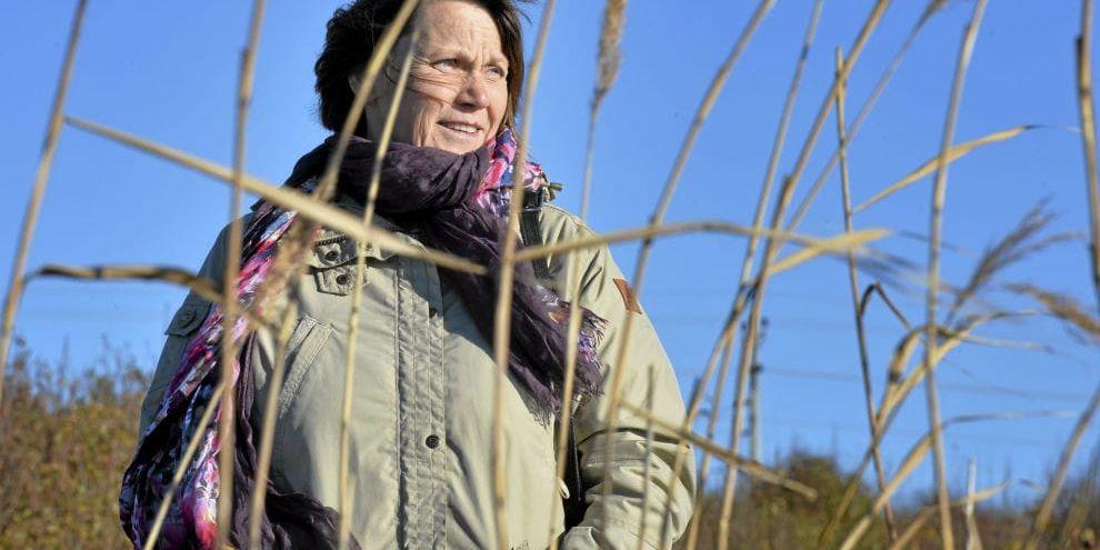 Ressugen jubilar. På 60-årsdagen befinner sig Ia Carlsson på betydligt varmare breddgrader. Hon är på resa i Palestina.