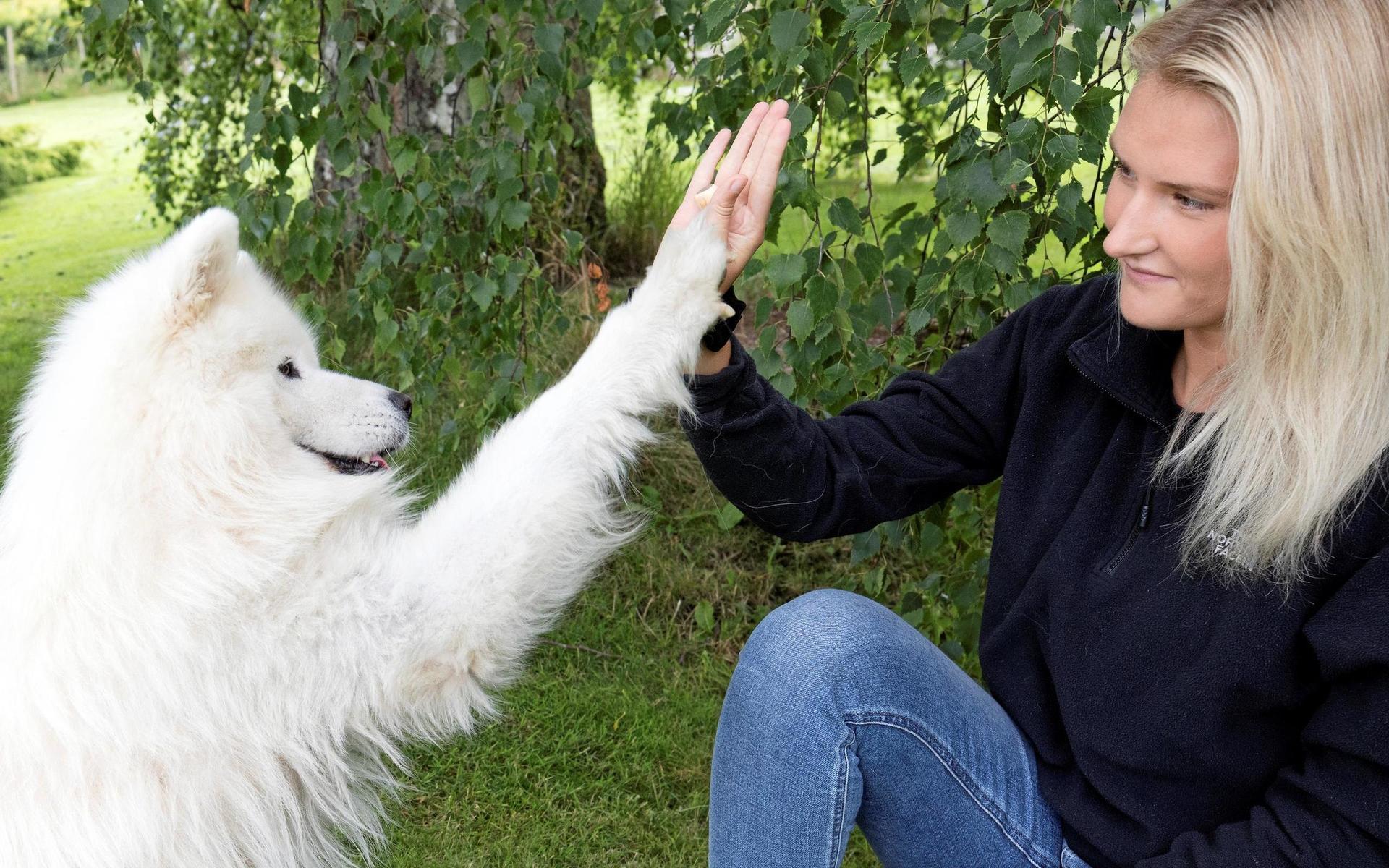 High-five! Instagramhunden Melker och Gabriella Sollenius når ut till och glädjer människor över hela världen.