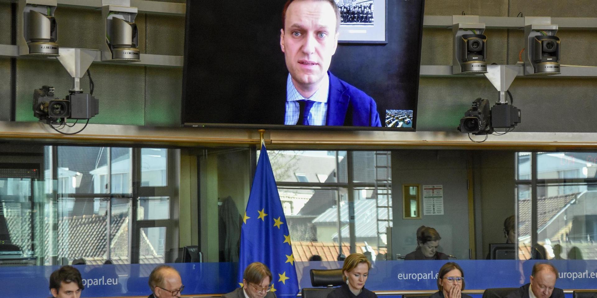 Aleksej Navalnyj vid ett tidigare webbframträdande i EU-parlamentet, i mars 2018. Arkivfoto.