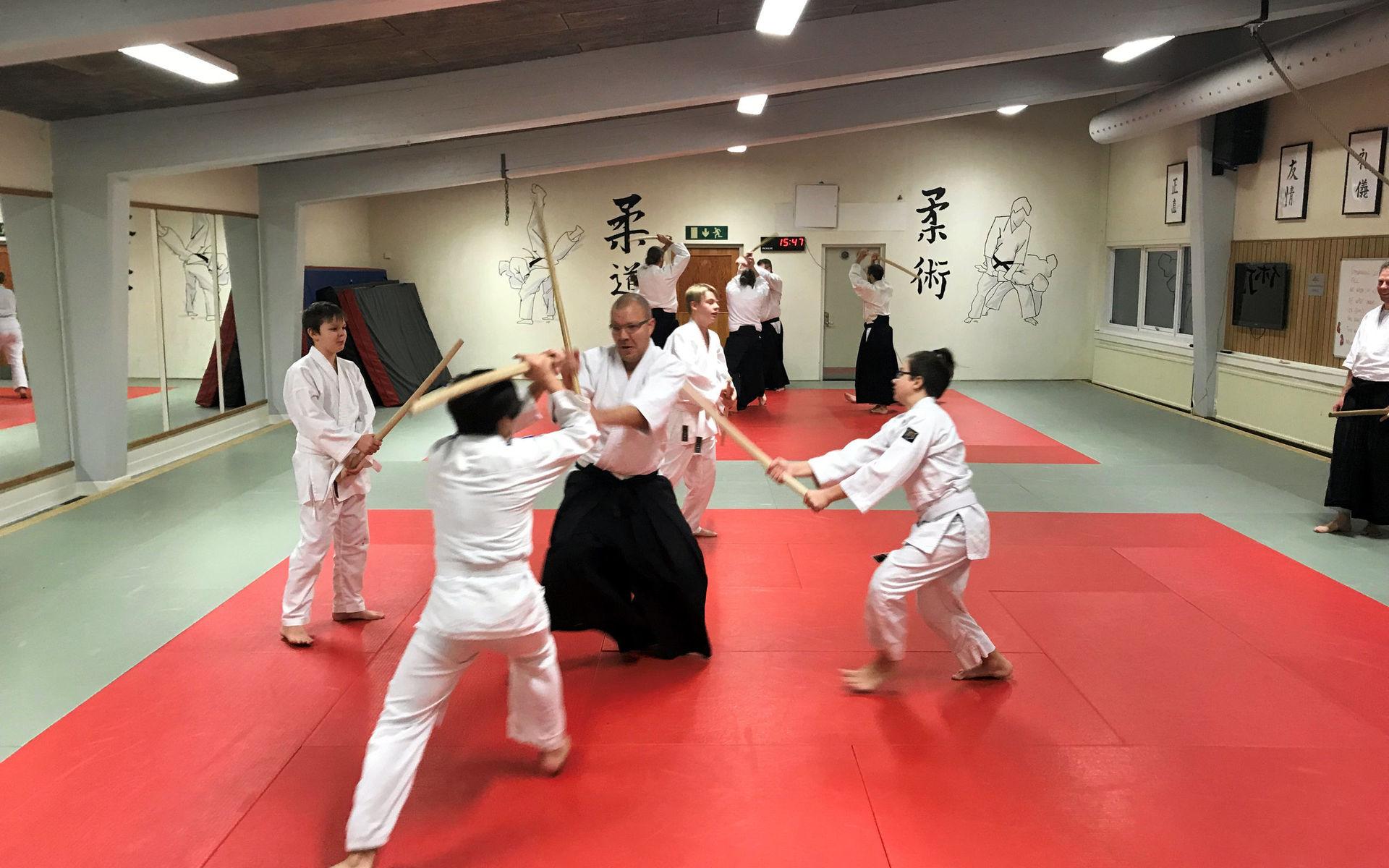 Aikido grundades på 1920-talet i Japan.