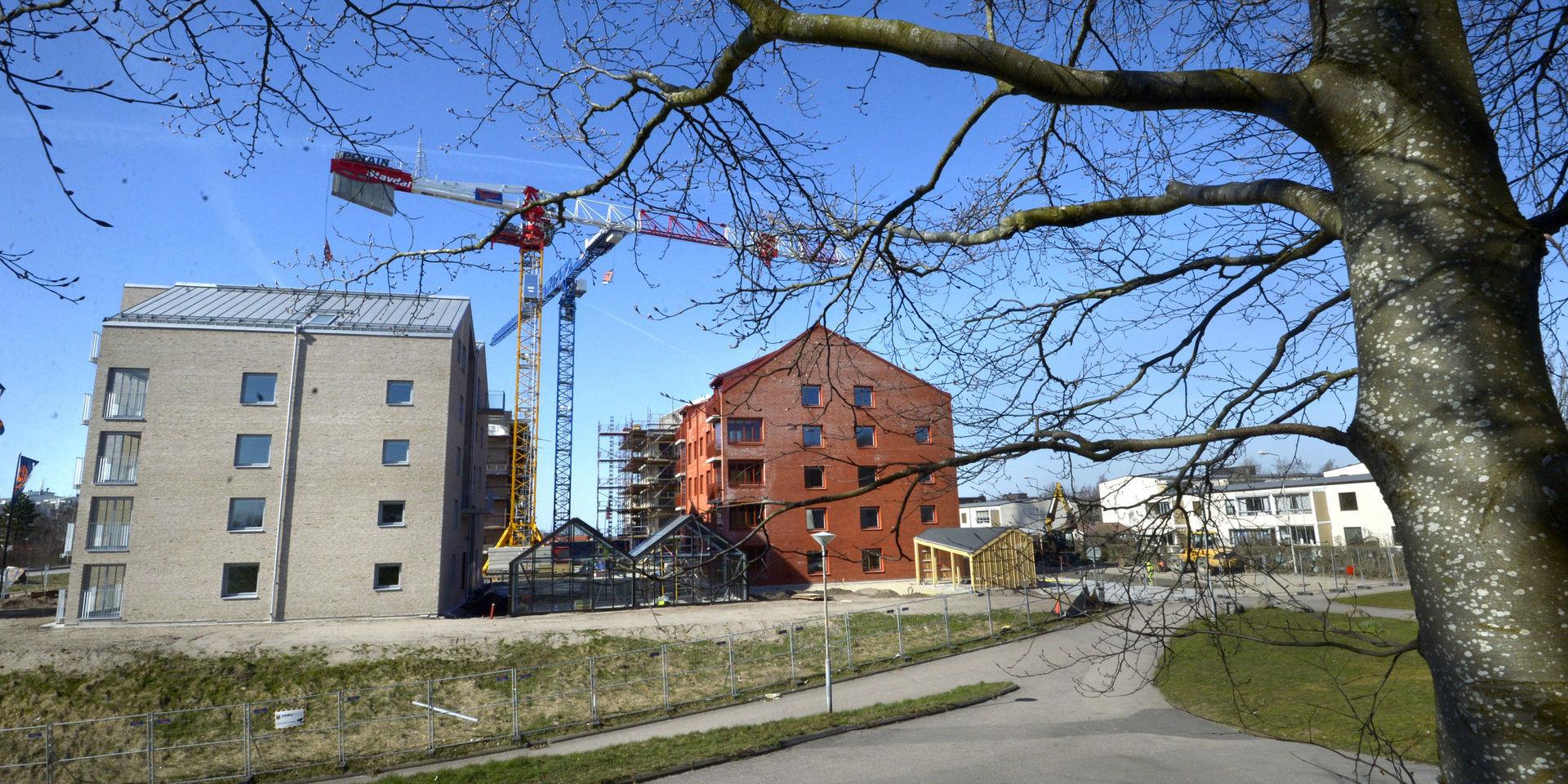 Nybyggnation, här syns husen på västra Sörse.