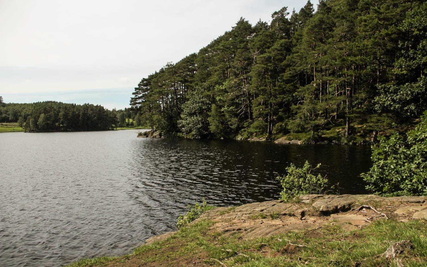 Grimsjön är en av de första sjöar vi möter rakt öster om Varberg, 56 m ö h med en yta på en halv kvadratkilometer och 23 meters djup.