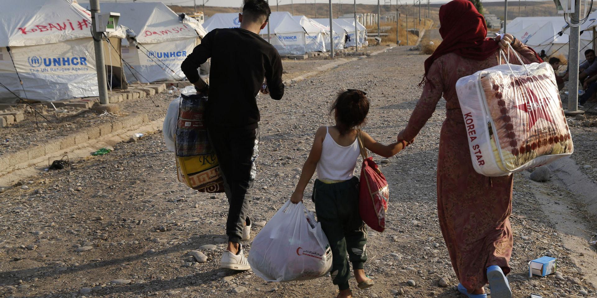 Hundratusentals människor har drivits på flykt sedan Turkiet inledde sin offensiv i Syrien.