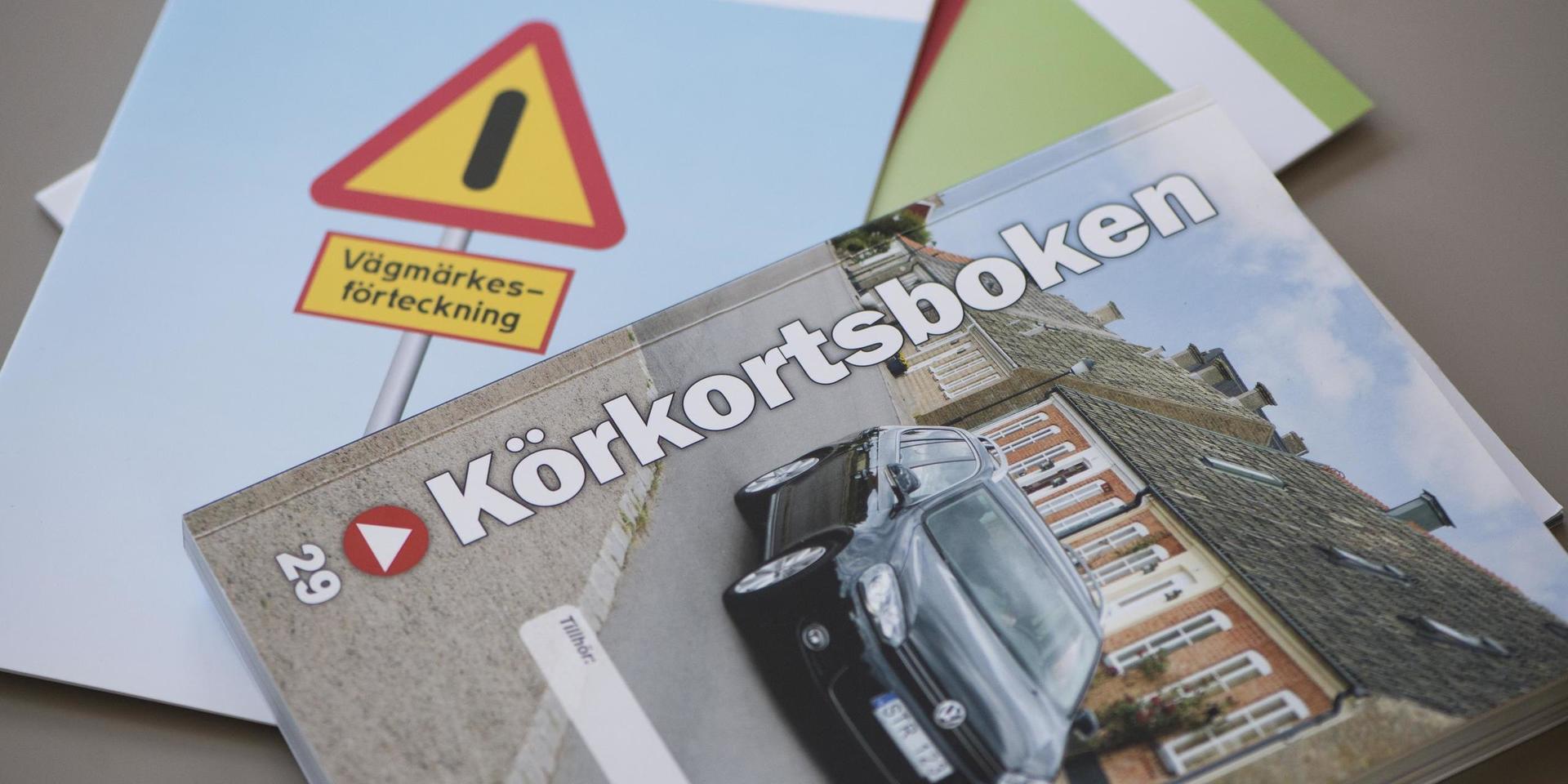 Det behövs fler trafiklärare, särskilt i södra Sverige, enligt branschorganisationen. Arkivbild.