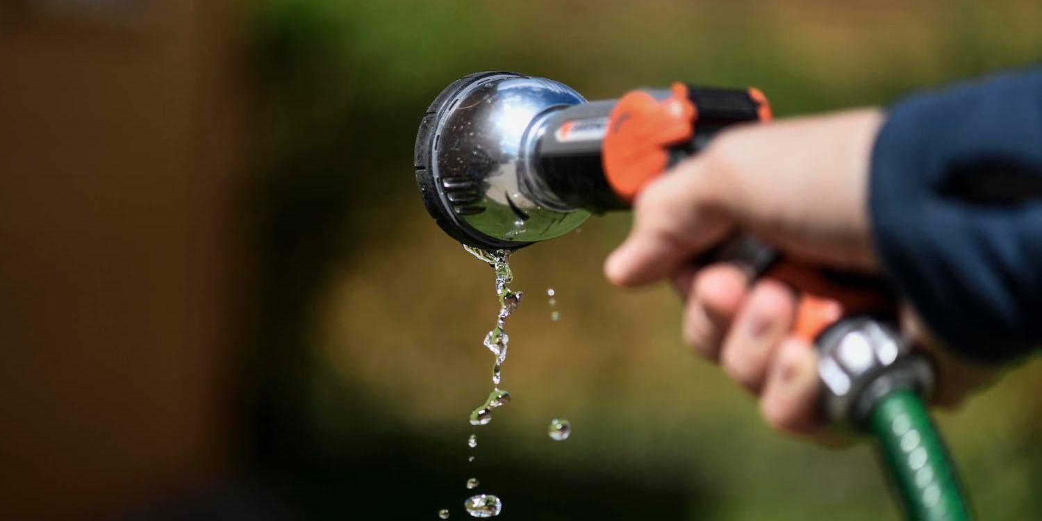 Ett 30-tal kommuner har infört bevattningsförbud medan 82 uppmanar till att spara på vattnet. Arkivbild.