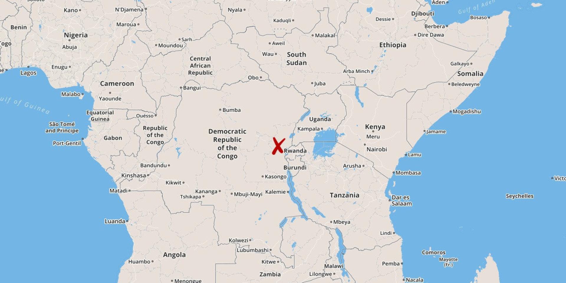 Den rwandiske rebelledaren Sylvestre Mudacumura har dödats i östra Kongo-Kinshasa.