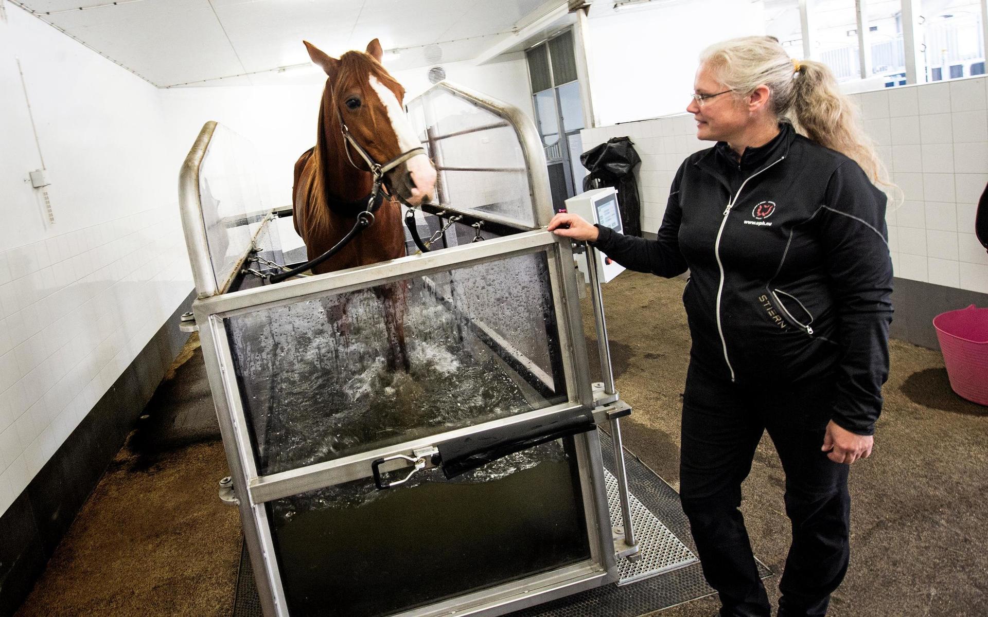 Stallchefen Sofia Schütt vid vattenbandet där en häst på rehab går i 30 minuter för uppträning efter en skada.