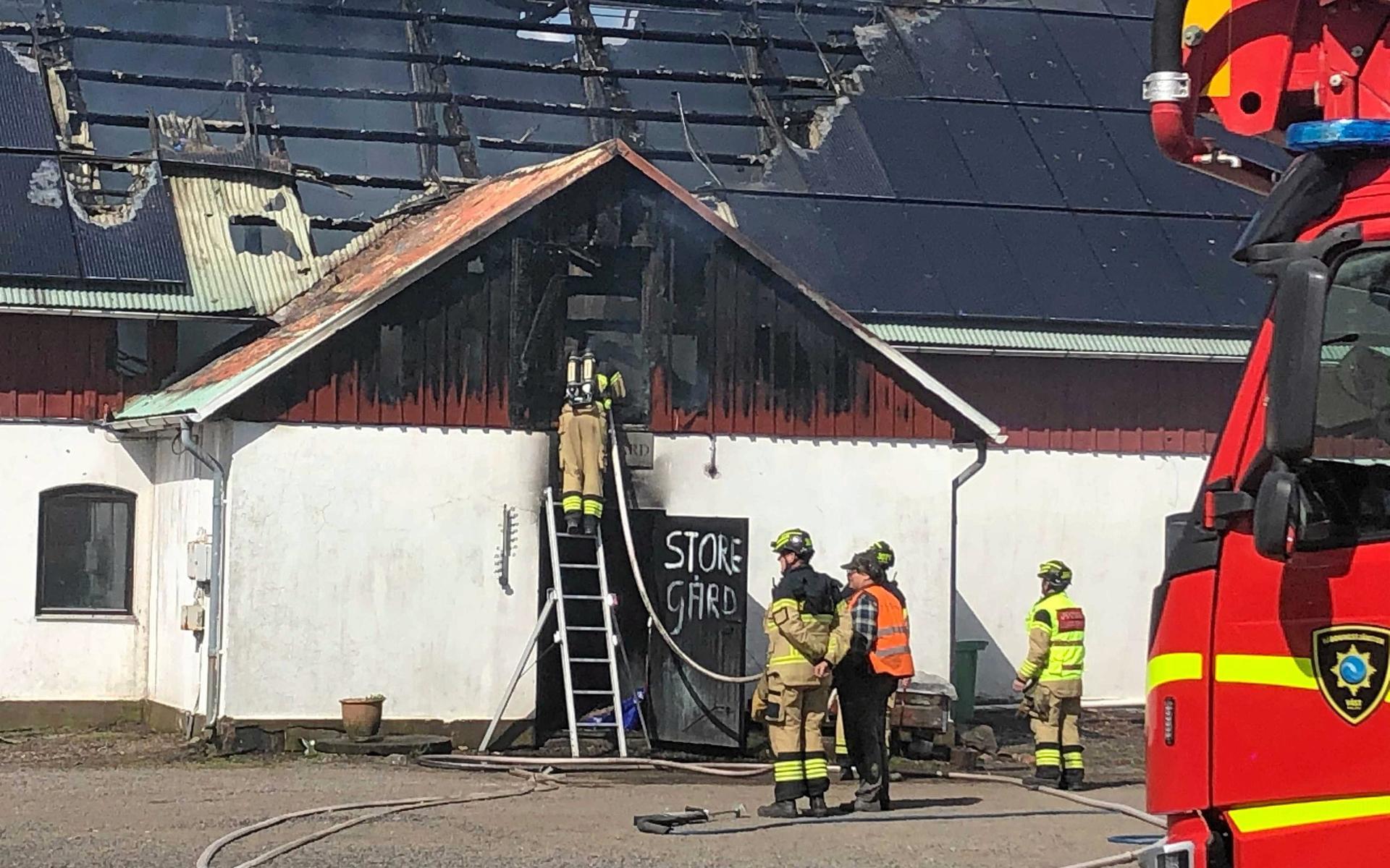 Räddningstjänsten var på plats med elva enheter för att få kontroll på branden i ladugården.