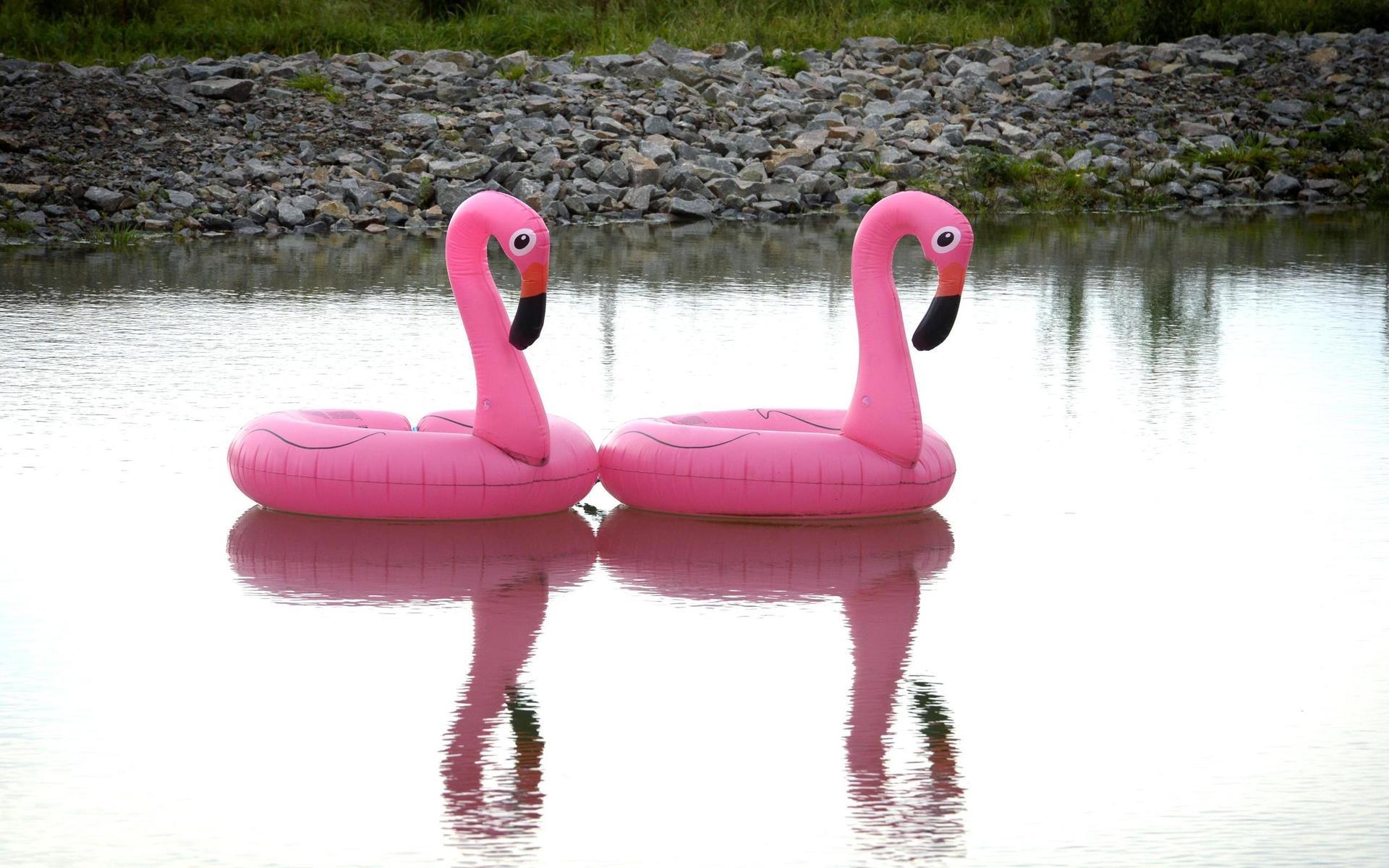 Två färgklickar i form av rosa flamingos i den ena dammen inne på arbetsområdet i Breared.