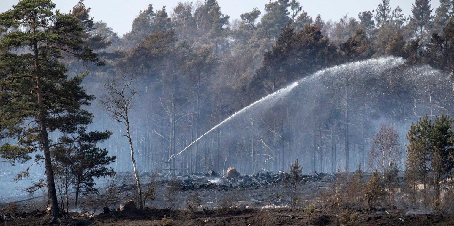 Släckningsarbetet med skogsbranden i skånska Hästveda går framåt. Arkivbild.