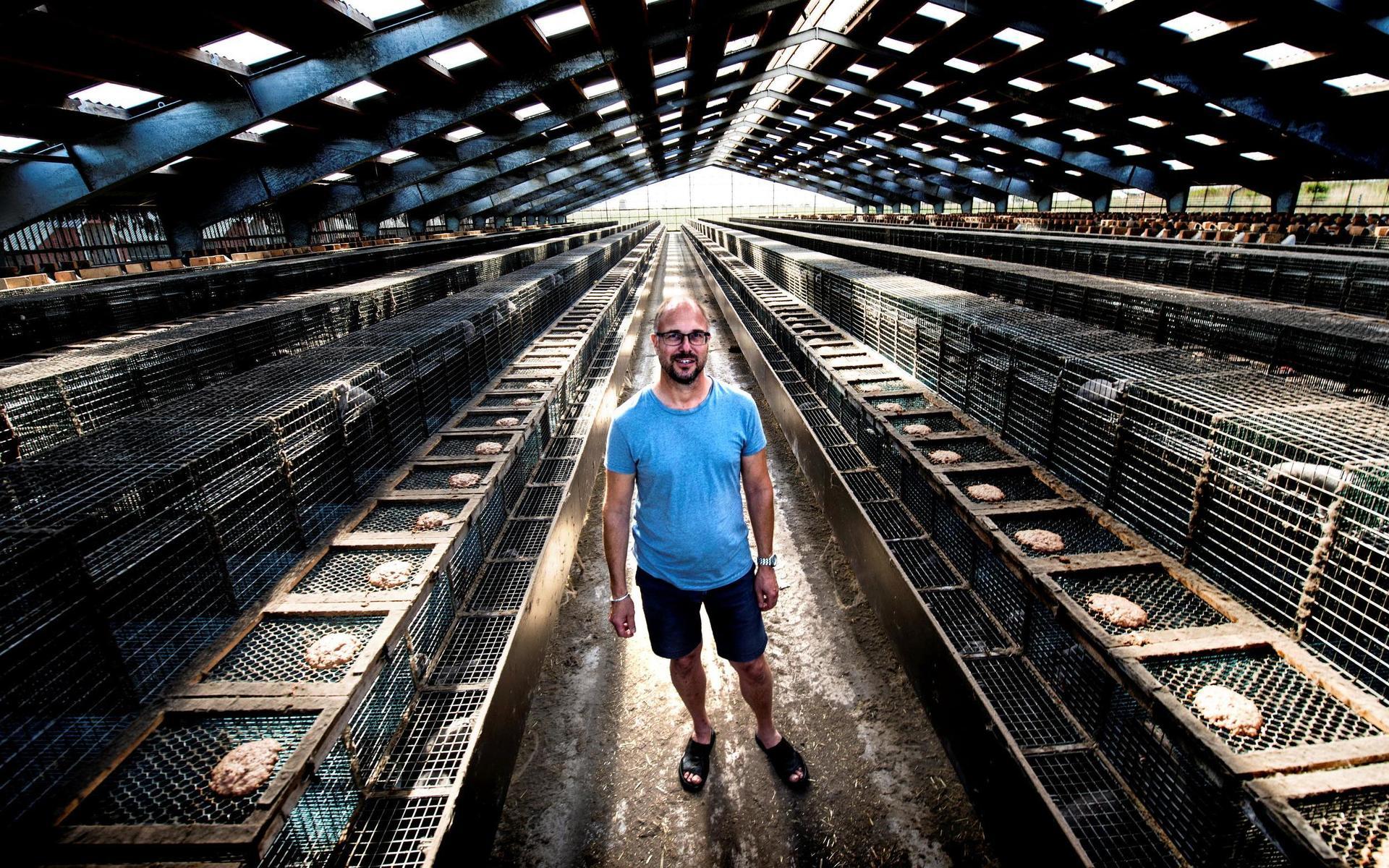 Här lever 22 000 minkar. Niclas Petterssons minkfarm har funnits sedan 1959 och startades av Niclas far. Nu hotas verksamheten.