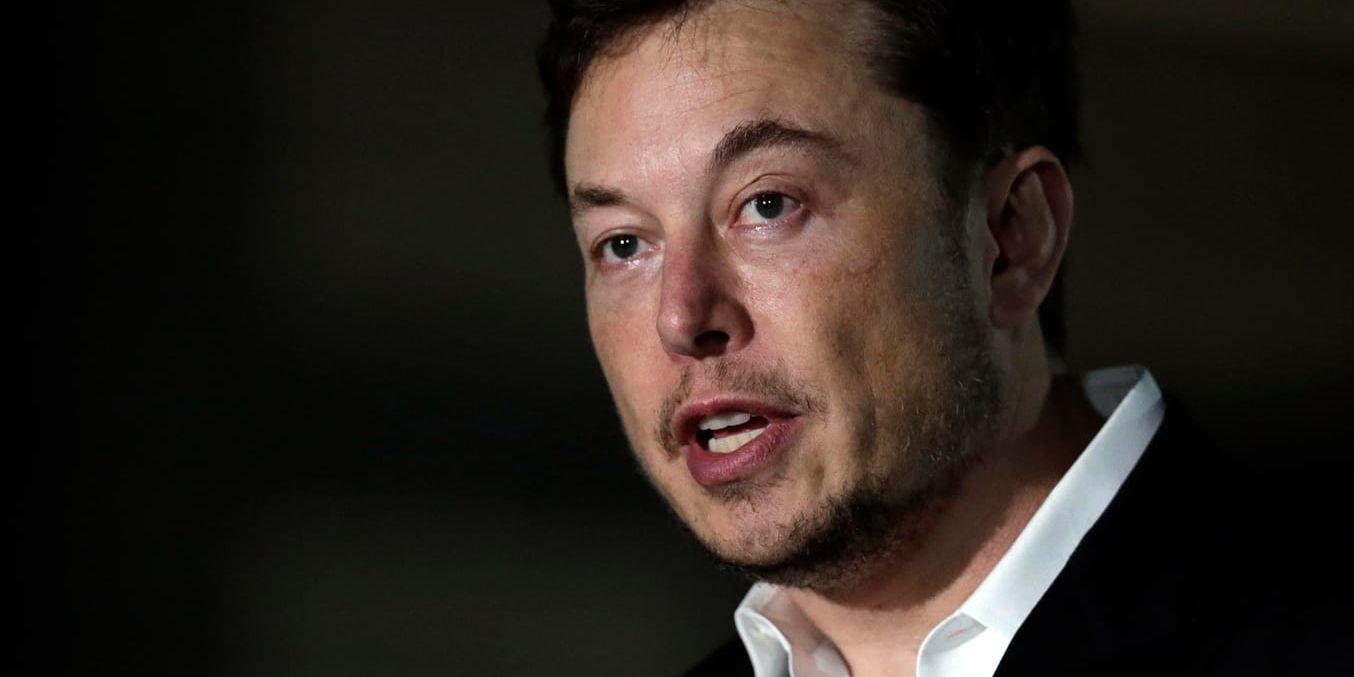 Teslas vd Elon Musk. Arkivbild