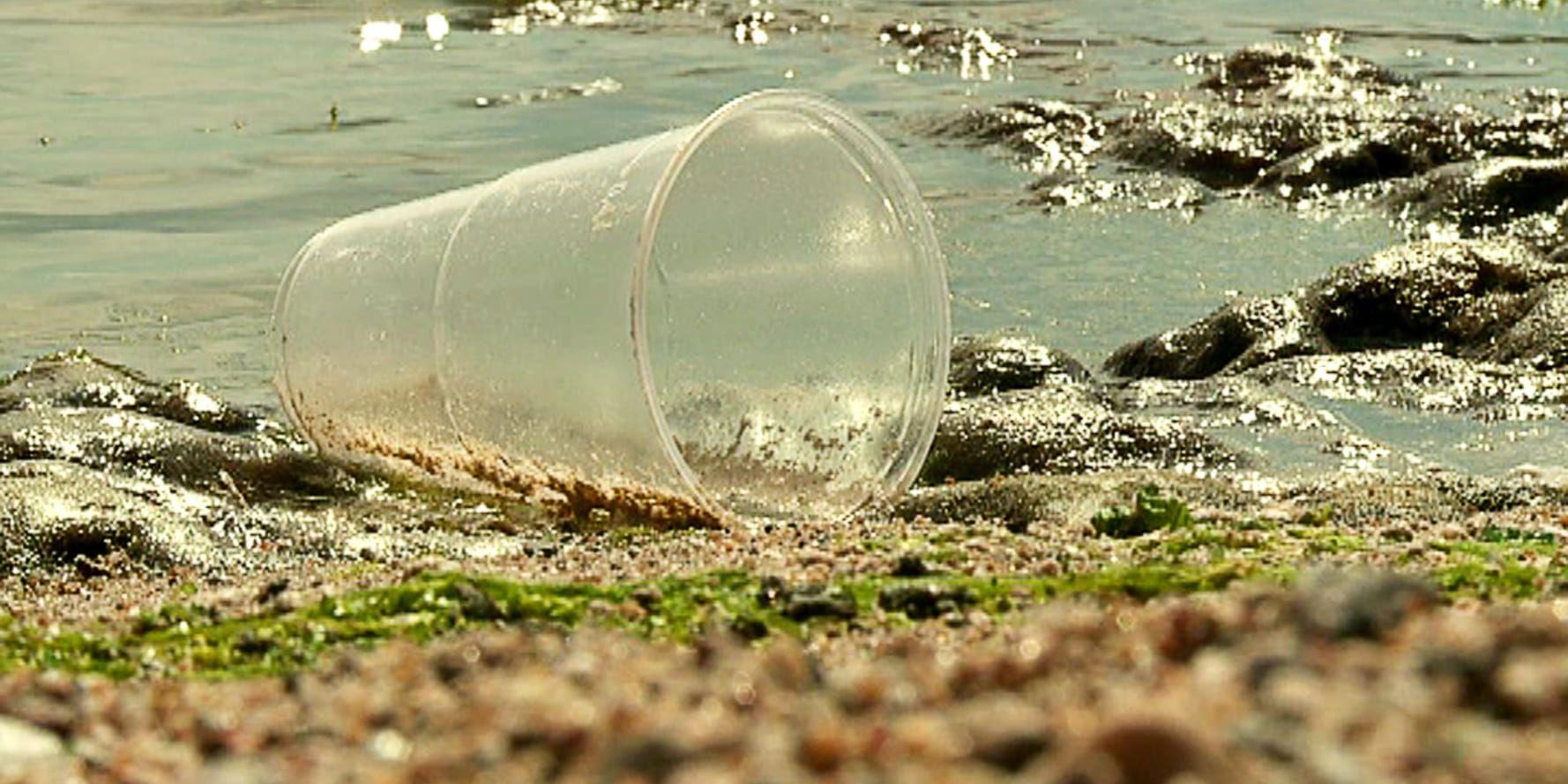Plastavfall som dumpas riskerar att hamna i haven. Arkivbild.