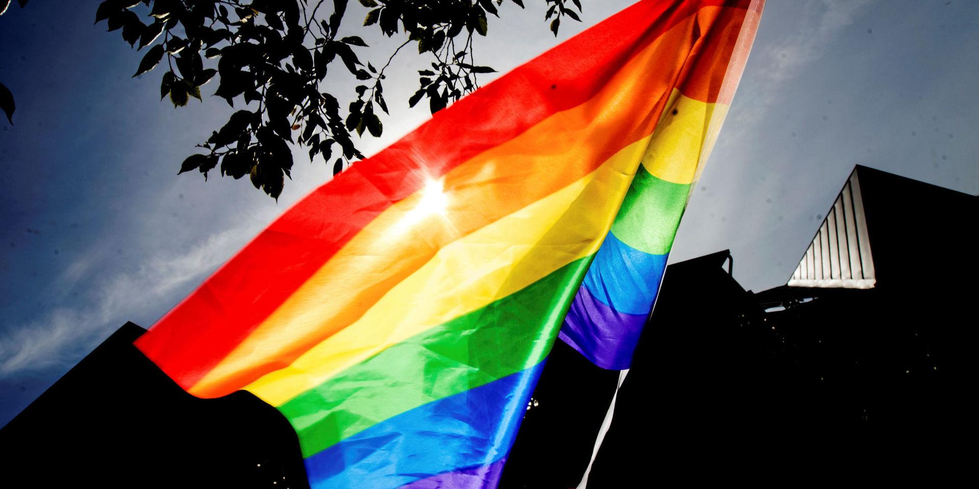 Svenska Dagbladets avslöjande visade en mörk sida av Pride.
