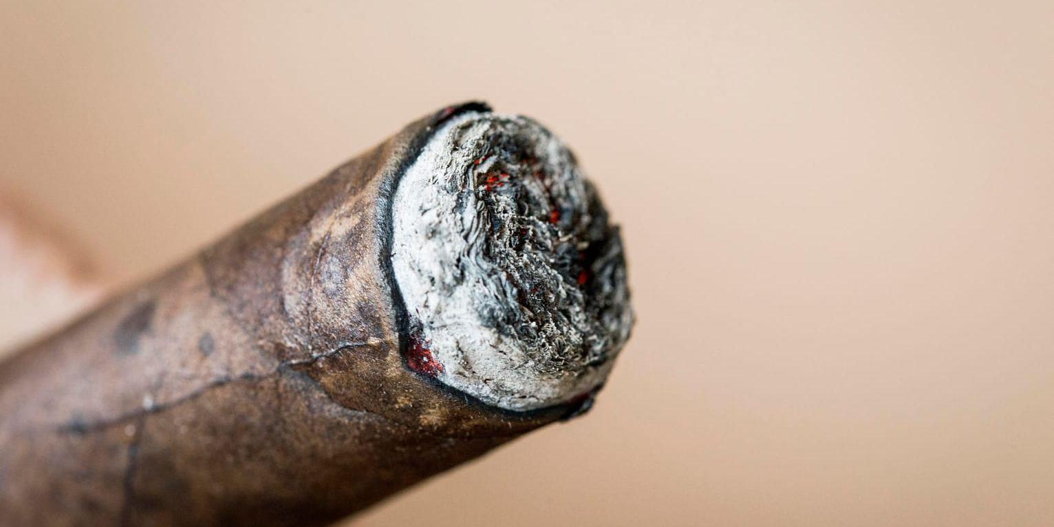Smaksatta cigarrer ifrågasätts av amerikansk myndighet. Arkivbild.