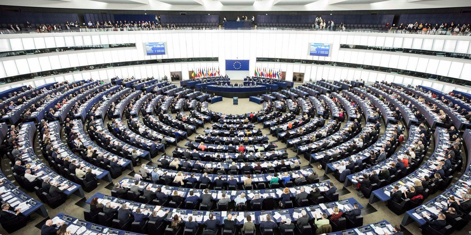 Europaparlamentet. Arkivbild.