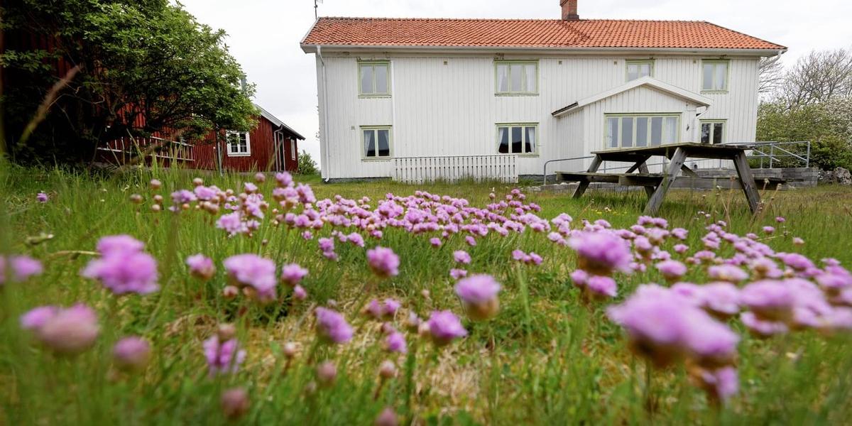Krogplanerna på Vendelsö står still när besked från Stockholm dröjer ...